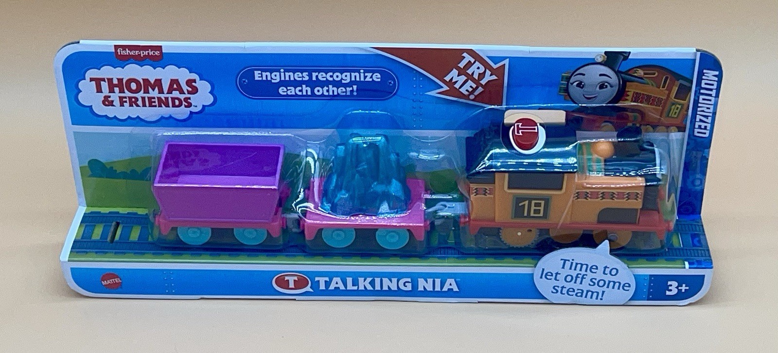 Fisher-Price Thomas and Friends Talking Nia Motorized Engine Train New