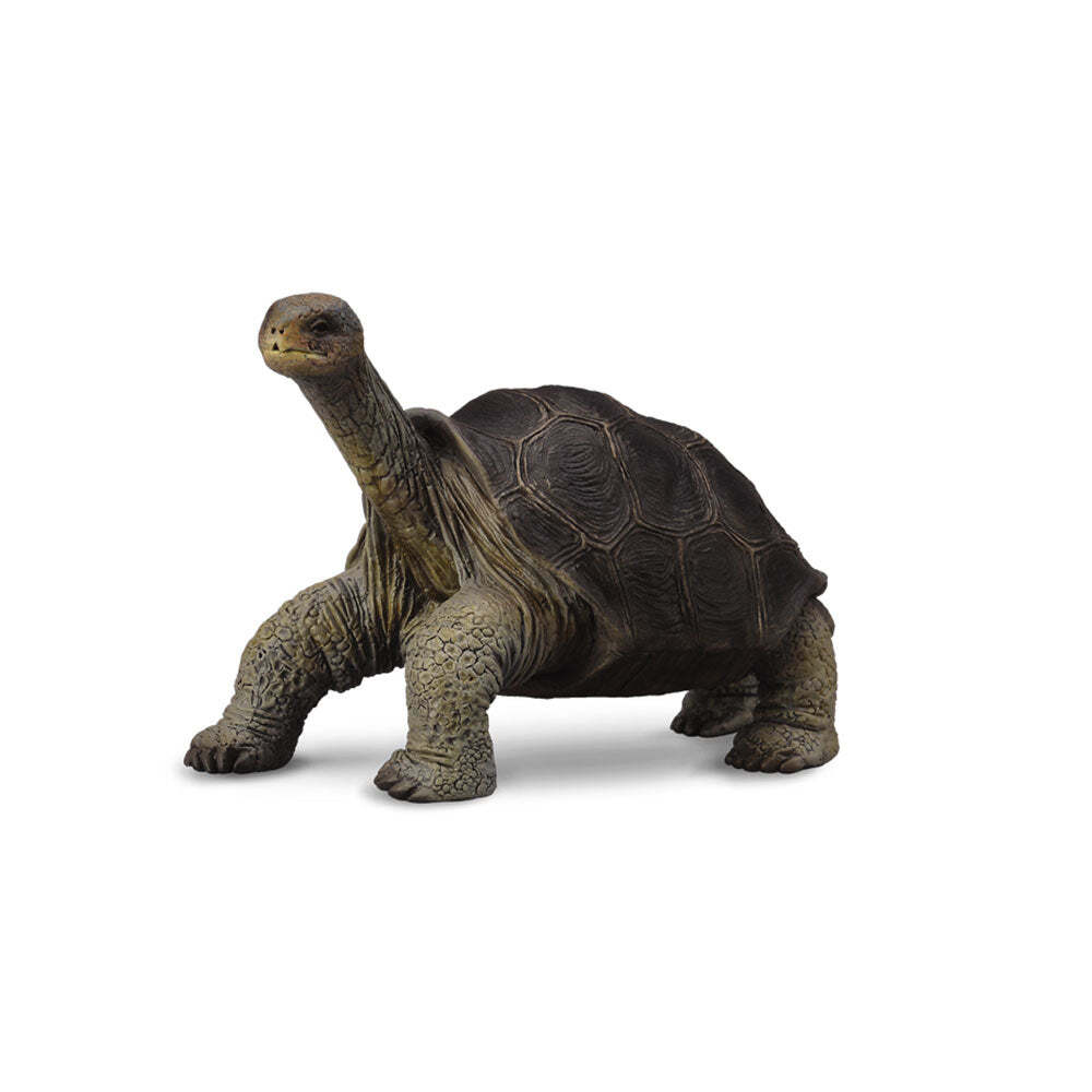 CollectA Realistic Animal Replica Island Tortoise George Figure Medium Ages 3+