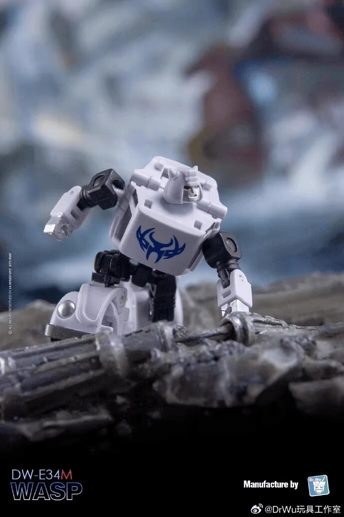 Dr Wu Customs DW-E35S Wingman Cyclonus DW-E34M Wasp Bee Action Figure in stock