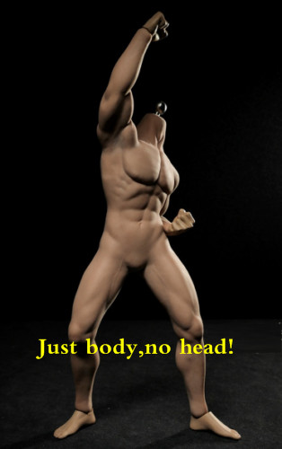 TBLeague PL2015-M30 1/6 MUSCULAR MAN Male PHICEN Suntan Seamless Figure Toy W/JJ