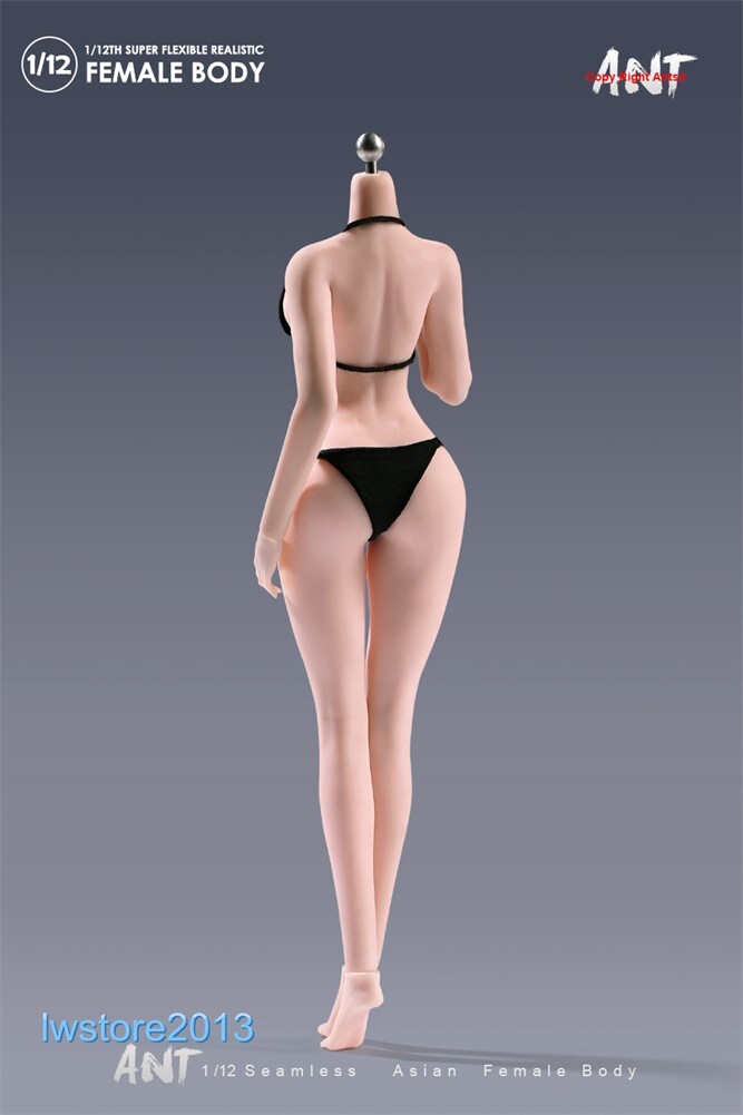 US ANT 1:12 Pale Large Bust Plump Hip 6&Prime; Seamless Female Action Figure Body Toys