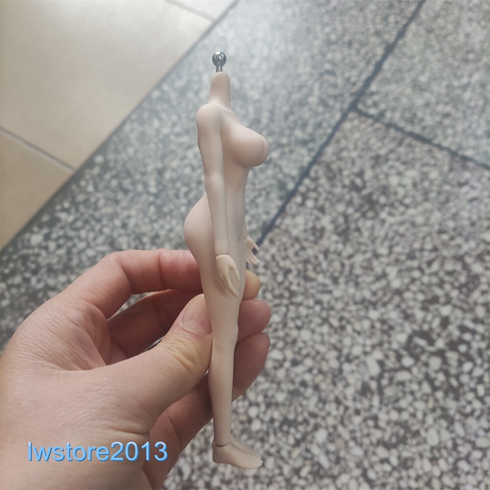 US ANT 1:12 Pale Large Bust Plump Hip 6&Prime; Seamless Female Action Figure Body Toys