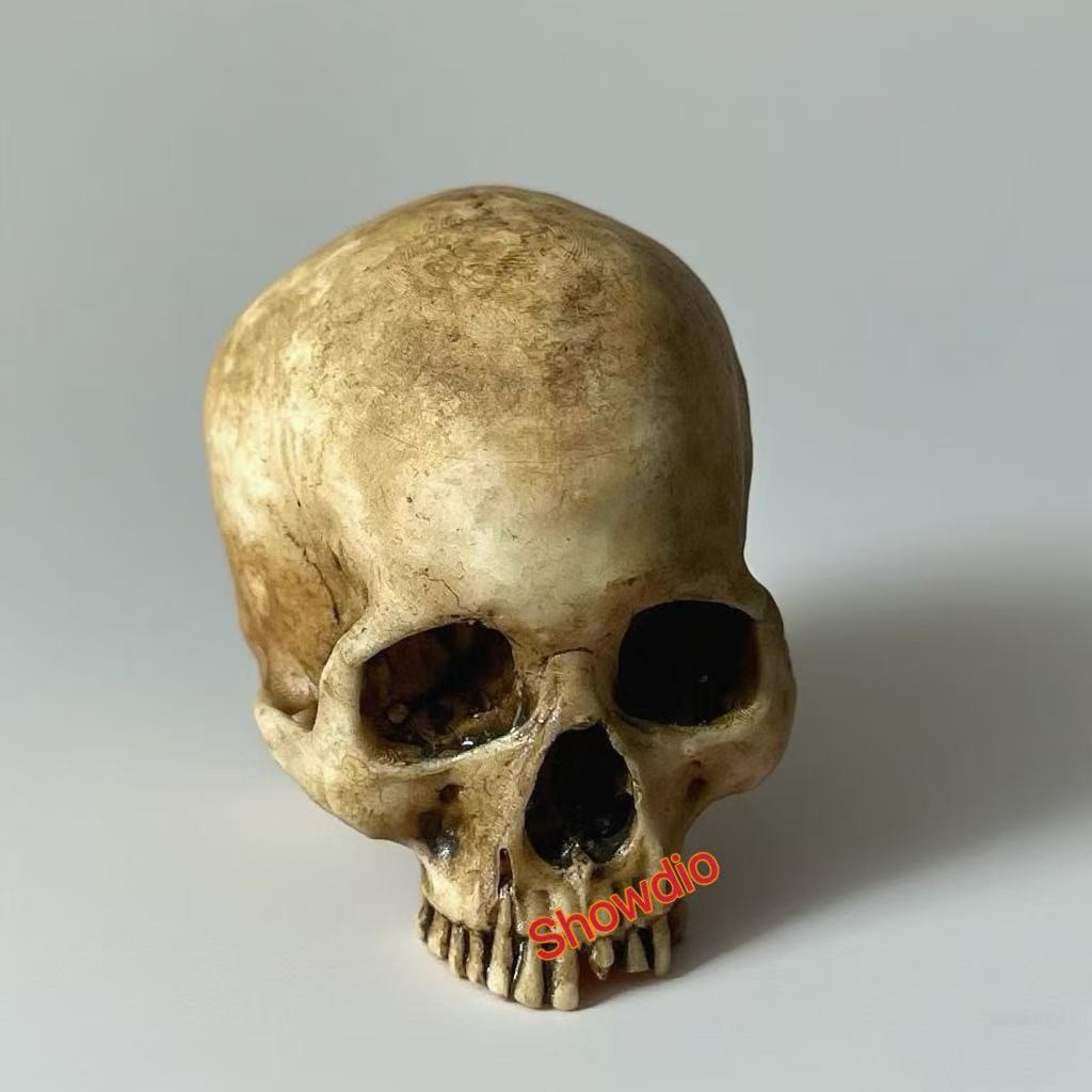 1/6 Scale Human Beings Skeleton Resin Model for 12&Prime; Action Figure Accessory Toys