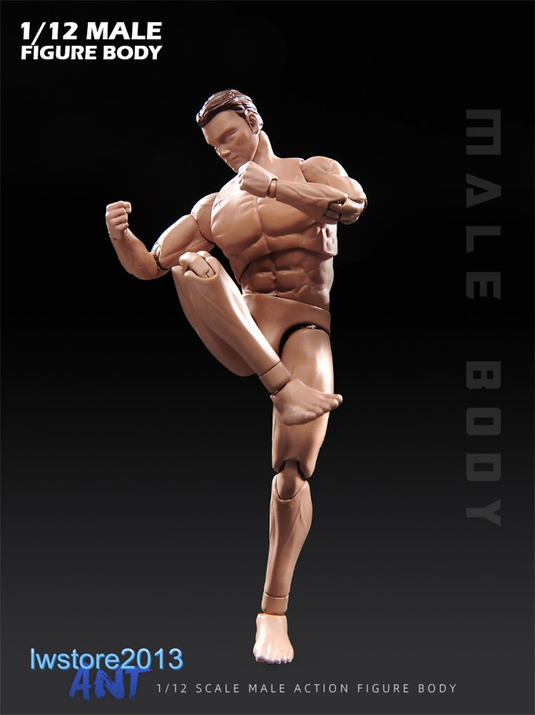 In Stock ANT 1:12 AM116 Muscular 6 inch Male Action Figure Head Body Shoes Toys