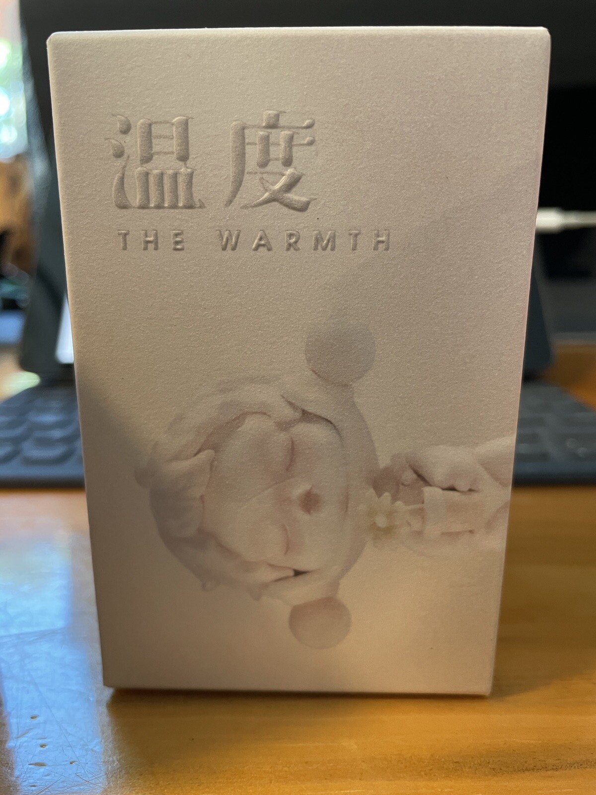 POP MART x SKULLPANDA The Warmth Chirping Mini Figure Art Toy Figurine Gift