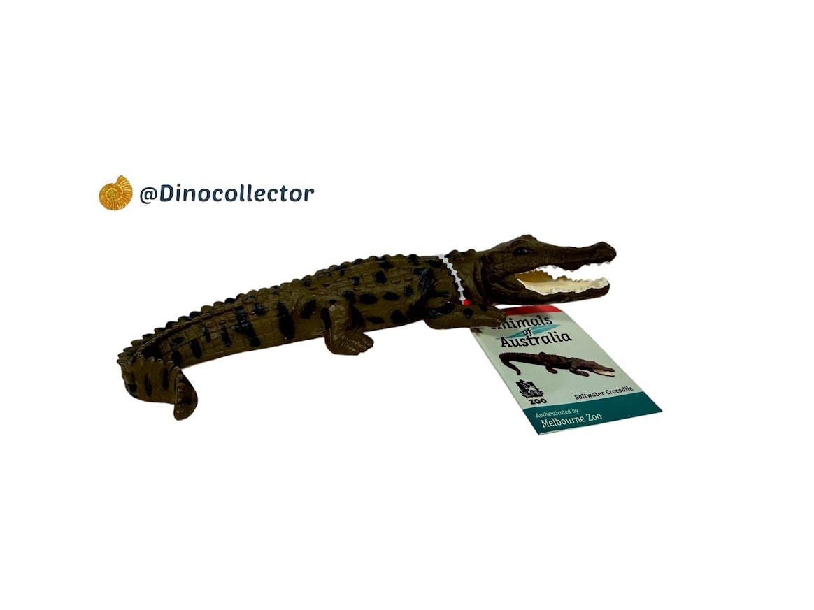 Animals of Australia Science & Nature figure Saltwater Crocodile Melbourne Zoo