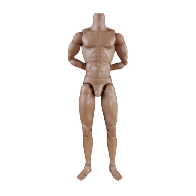 COOMODEL 1:6 BD010 Muscular 27cm Male Action Figure PVC Body Collectible Dolls