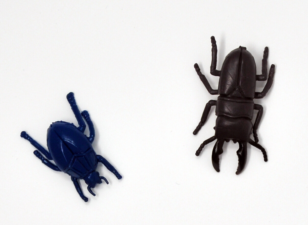 10-pc toy insects: beetles, ladybug, Cockroaches, insects identification toy