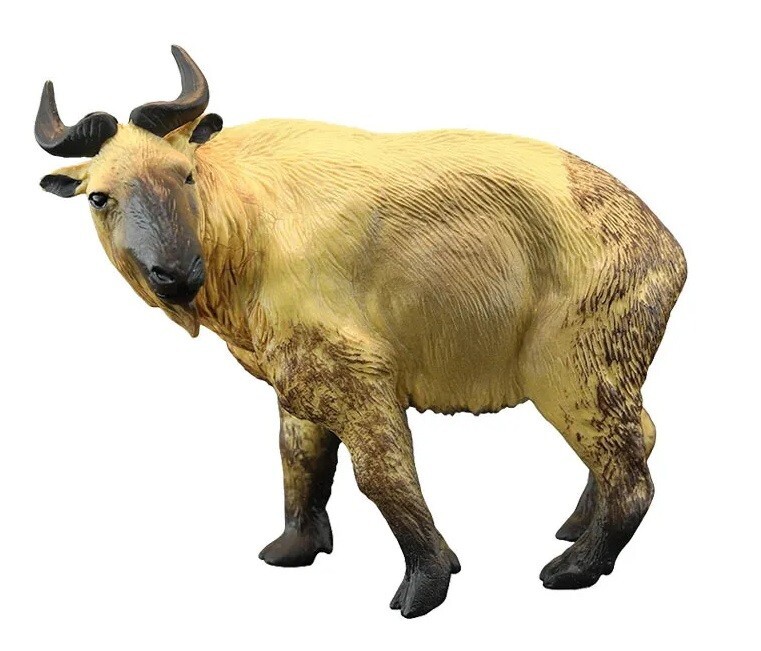 Takin Cattle Goat Animal Toy PVC Action Figure Doll Kids Toys Party Gifts