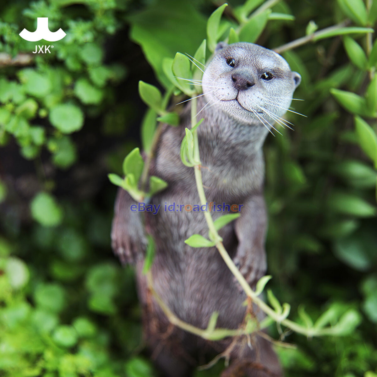 JXK 1/6 Scale Eurasian River Otter Model Animal Figure Scene Decor Kids Toy