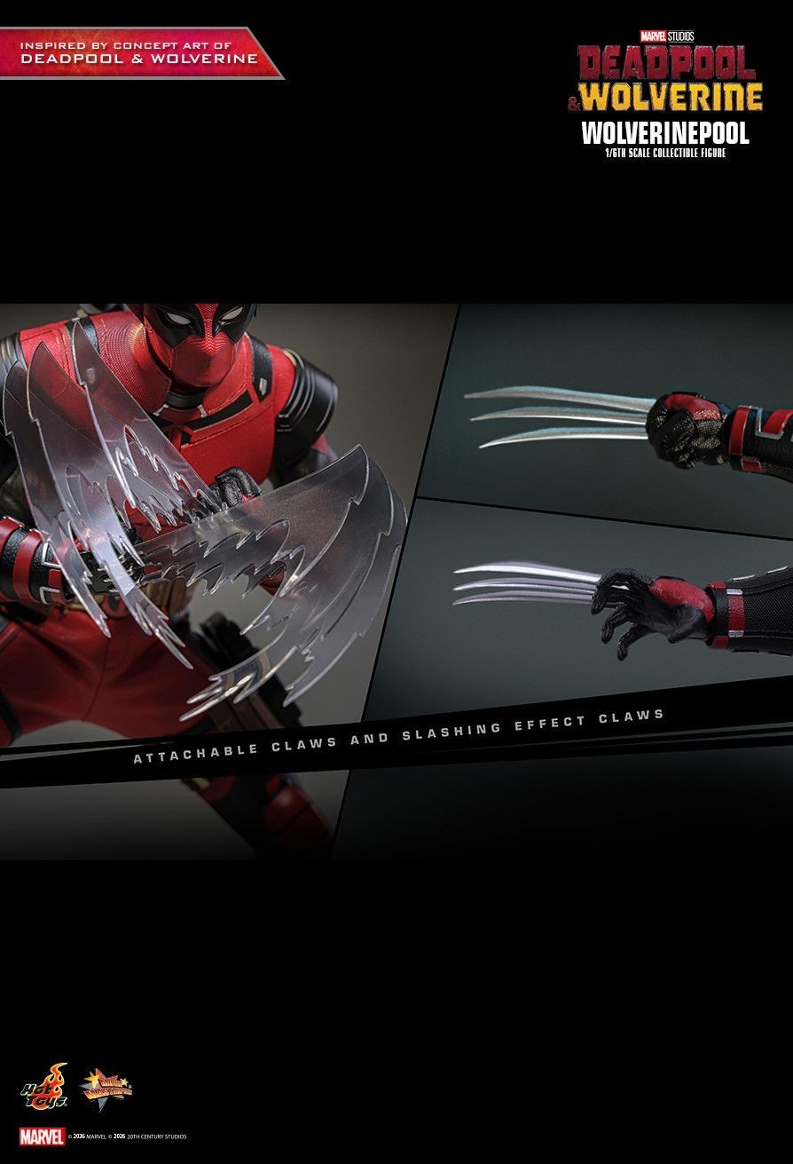 READY NEW AUTHENTIC HOT TOYS DEADPOOL & WOLVERINE WOLVERINEPOOL MMS857 CONCEPT