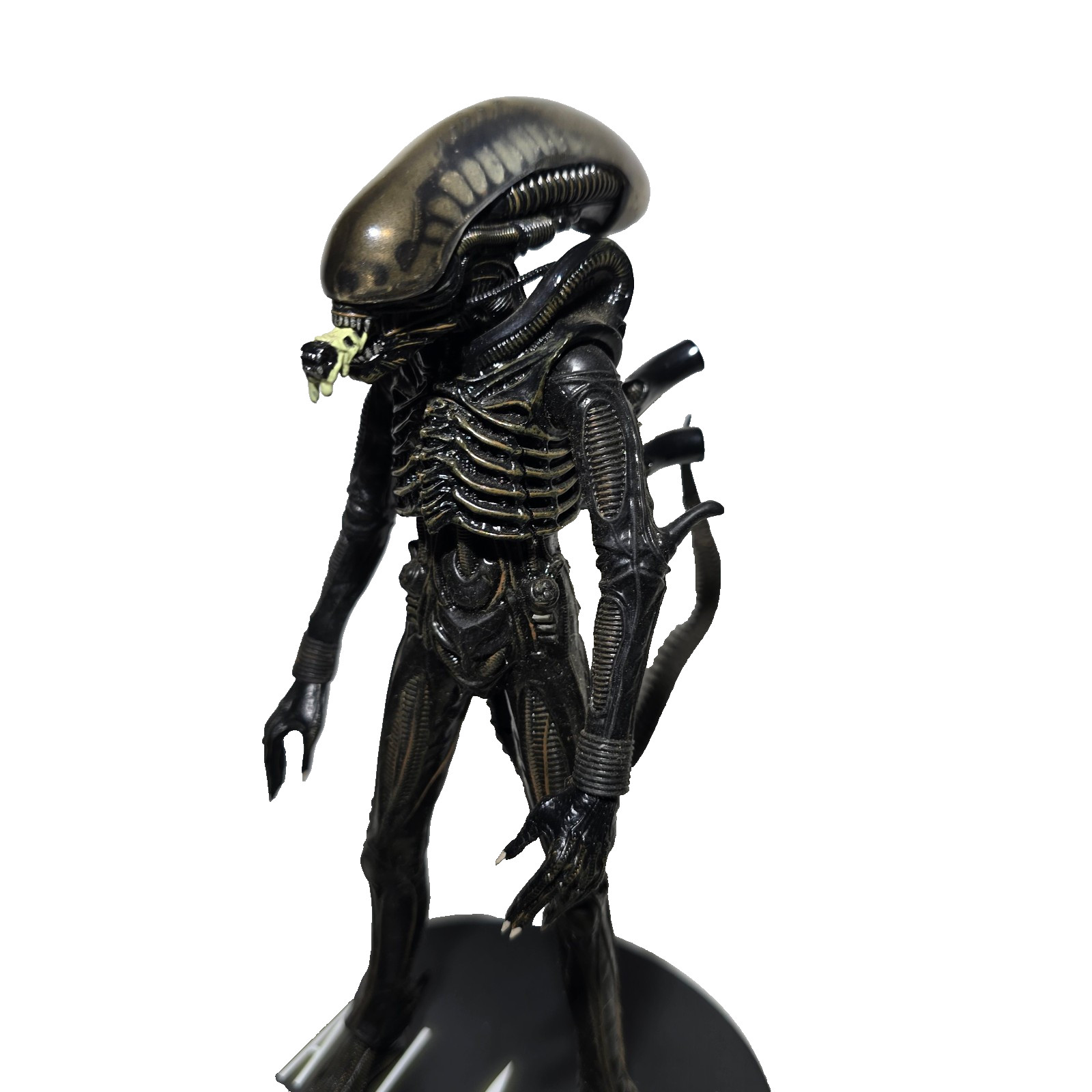Xenomorpha Alien 8 inch Action Figure