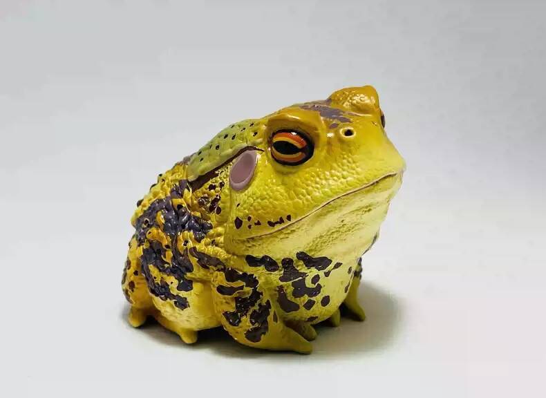 Animal Planet Super Rep Animal Heavenly Body Bufo Gargarizans TikTok Rare Ver.