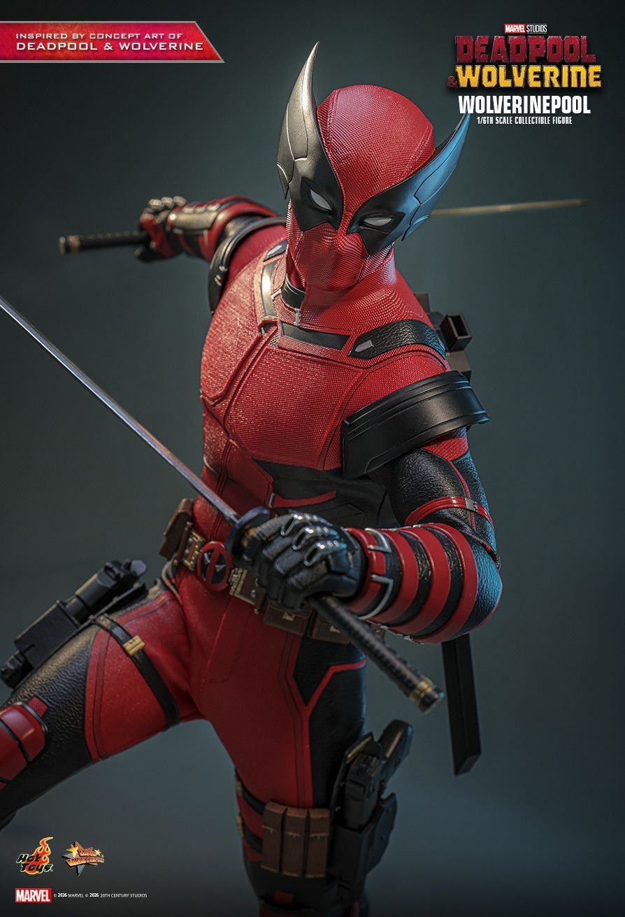 READY NEW AUTHENTIC HOT TOYS DEADPOOL & WOLVERINE WOLVERINEPOOL MMS857 CONCEPT