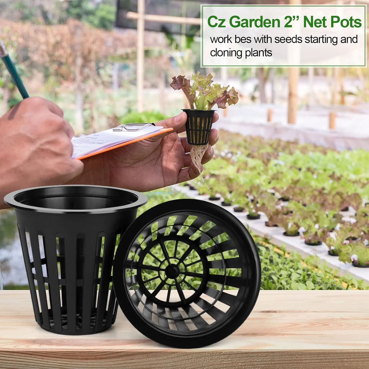 50PCS 2 inch Net Pots, Hydroponics Cup, Net Cups for Indoor or Outdoor Growing