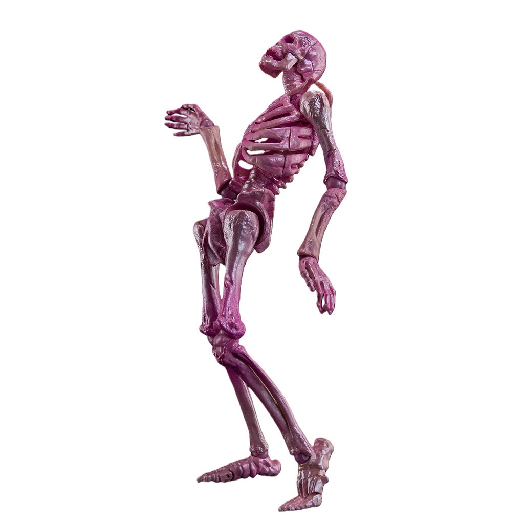 HIPLAY KEEPGOING Biology Classroom Human Skeleton Articulated Model 1/12 Figure