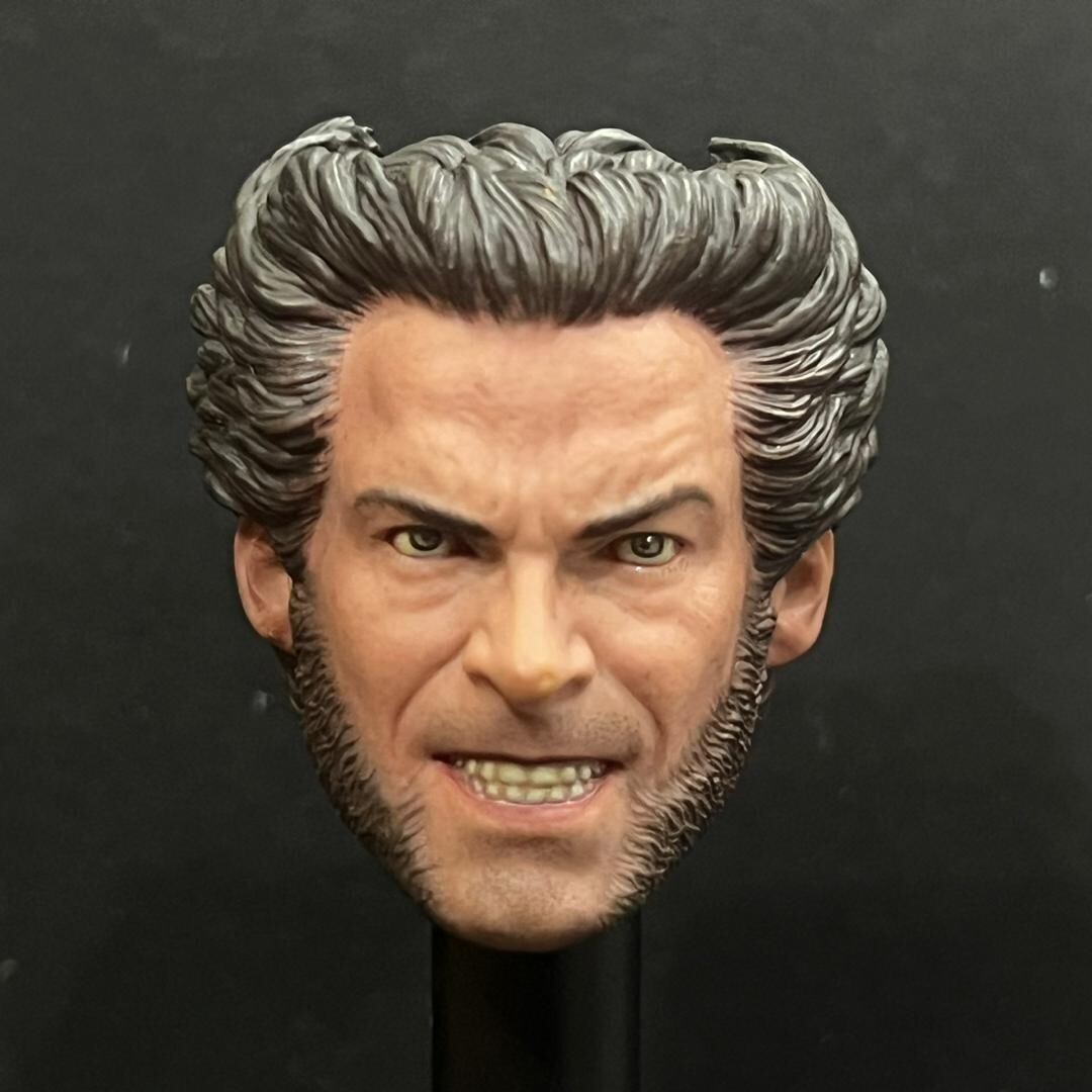 Hot Toys Mms187 X-men The Last Stand Wolverine Head Sculpt 1/6 Scale Accessories