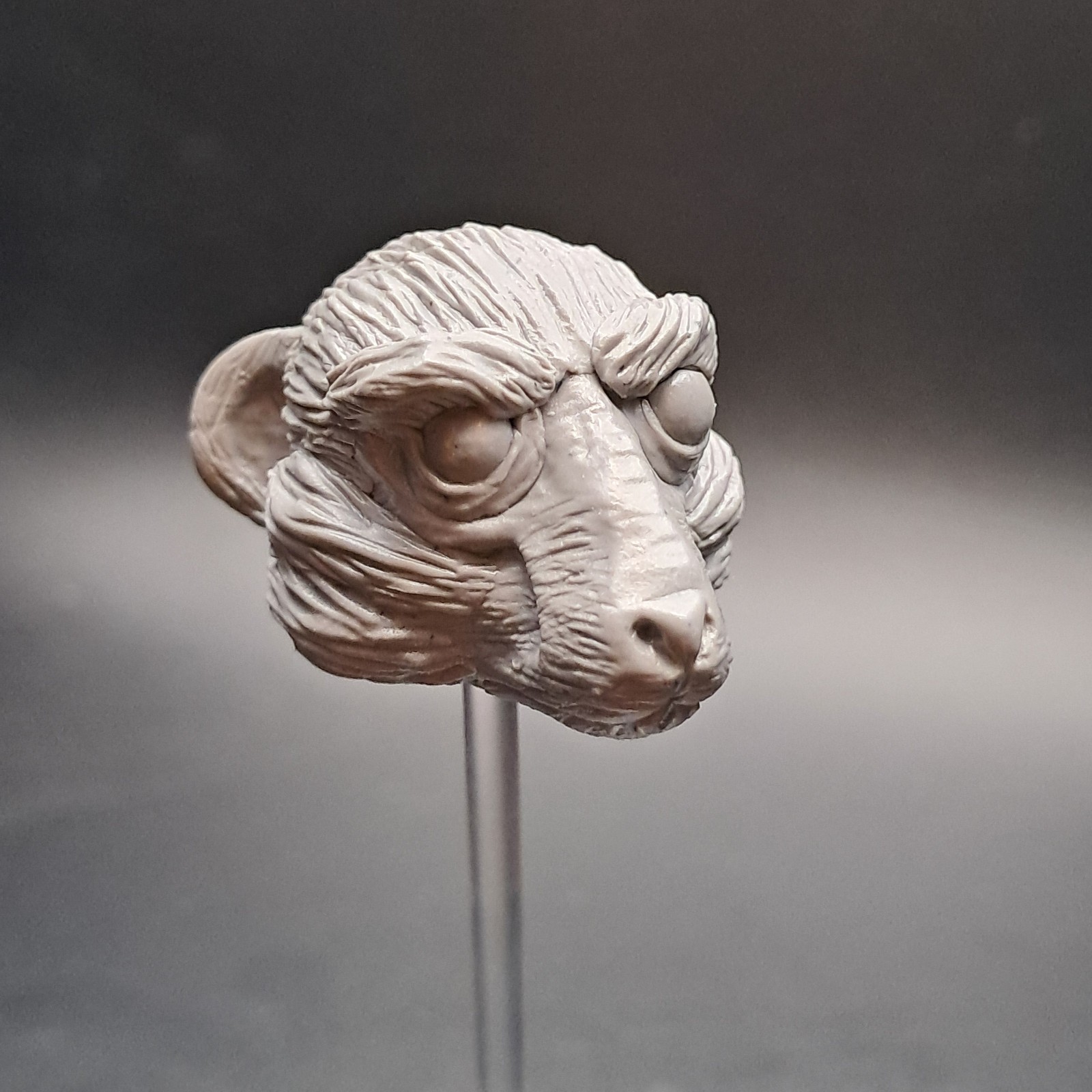Star Wars Reegesk Rat Cantina Alien Custom Head Cast Black Series 1:12 6&Prime; Scale
