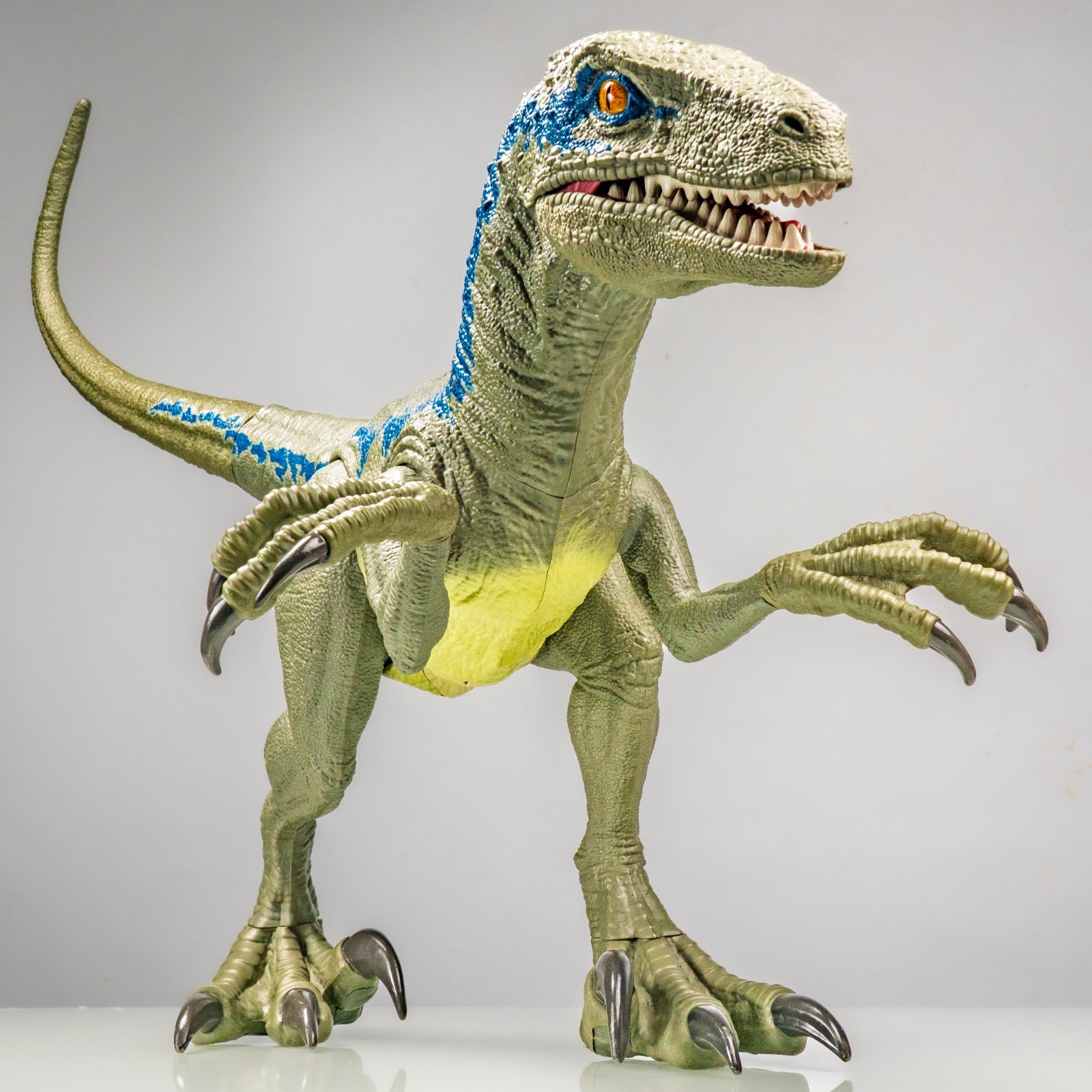 Mattel Jurassic World Super Colossal Velociraptor Blue 3.5 FT L x 18&Prime; H