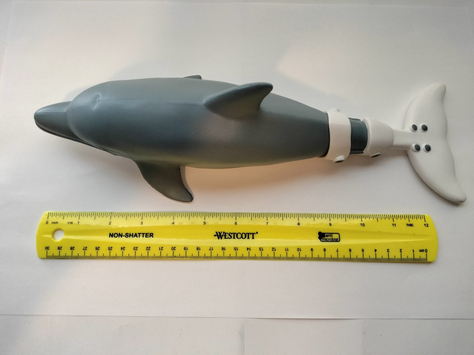 Dolphin Tale Winter The Dolphin 13” Figure – Clearwater Marine Aquarium 2020