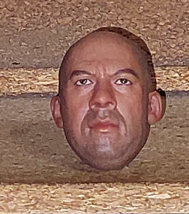 1/6 Scale Art Toys Riddick Head loose