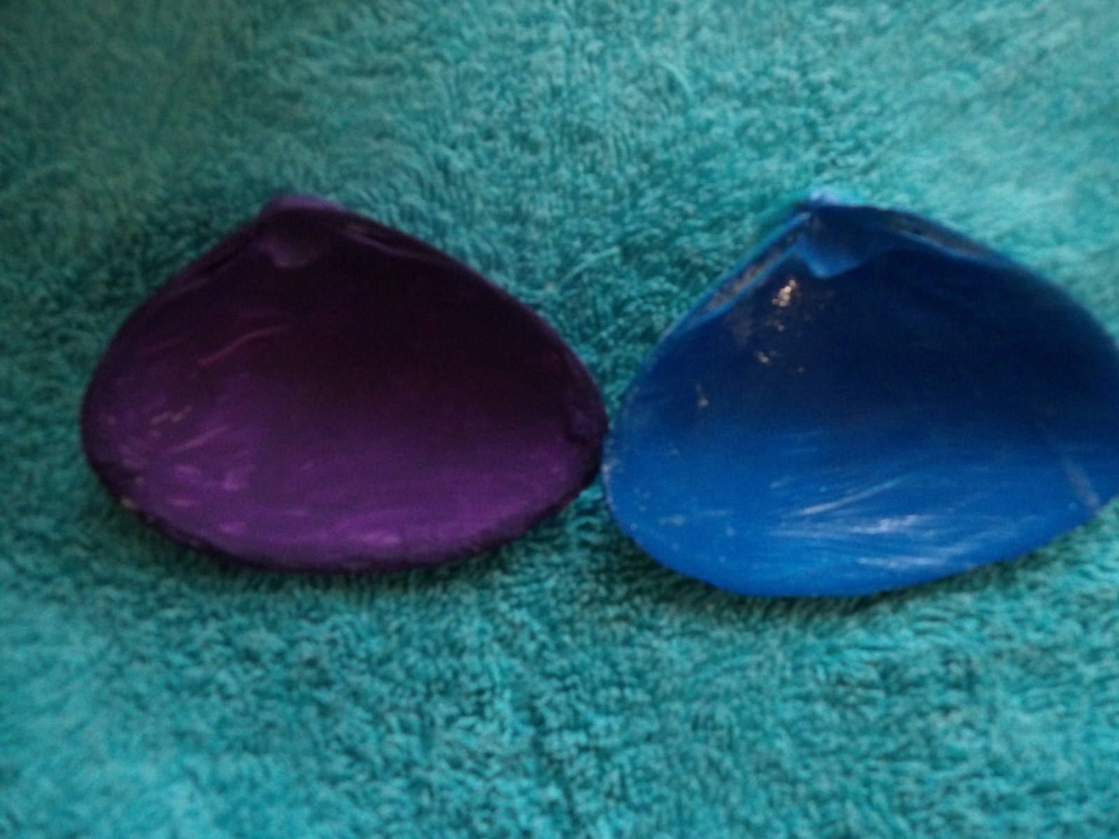 Magic By The Seashell, Enchanted & Powerful Seashells, You Choose Color & Intent