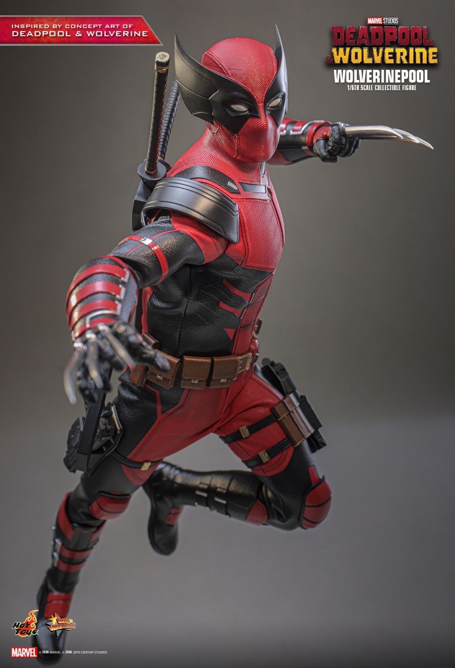 READY NEW AUTHENTIC HOT TOYS DEADPOOL & WOLVERINE WOLVERINEPOOL MMS857 CONCEPT