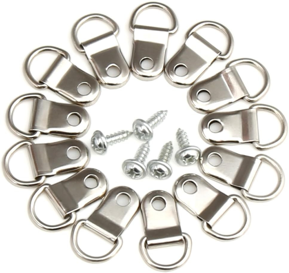 80-Piece Small D-Ring Picture Frame Hooks, Stainless Steel – with Screws for Han