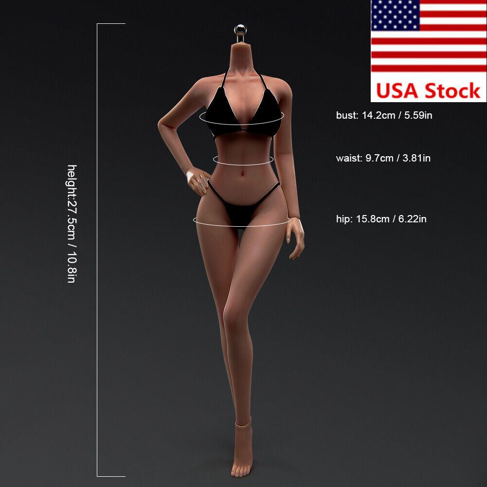 US 1/6 Medium Bust Makeup Flexible Joint Seamless Female Figure Body Model Toy