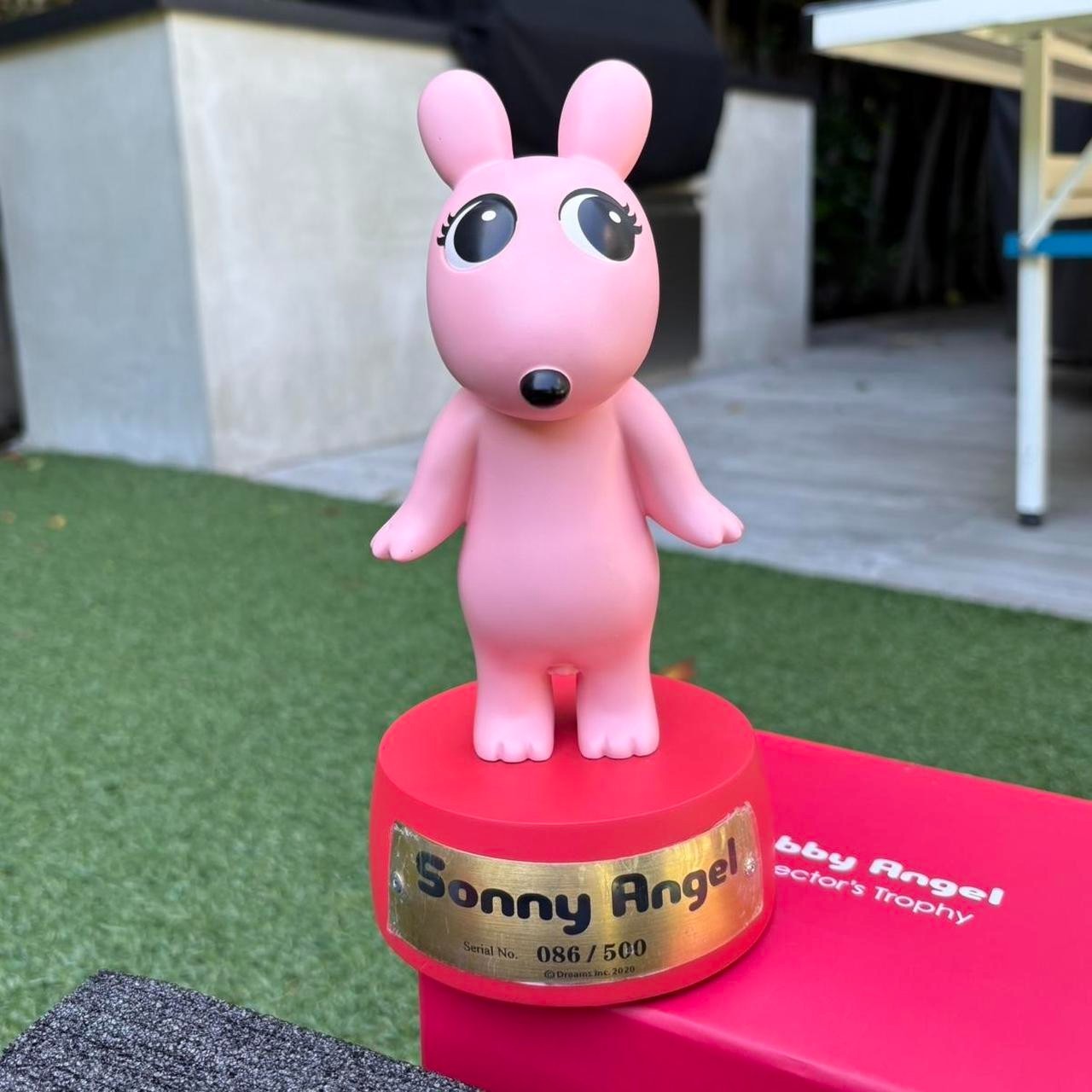 Robby Angel Collector&rsquo;s Trophy – Pink!! Includes Display & Certificate