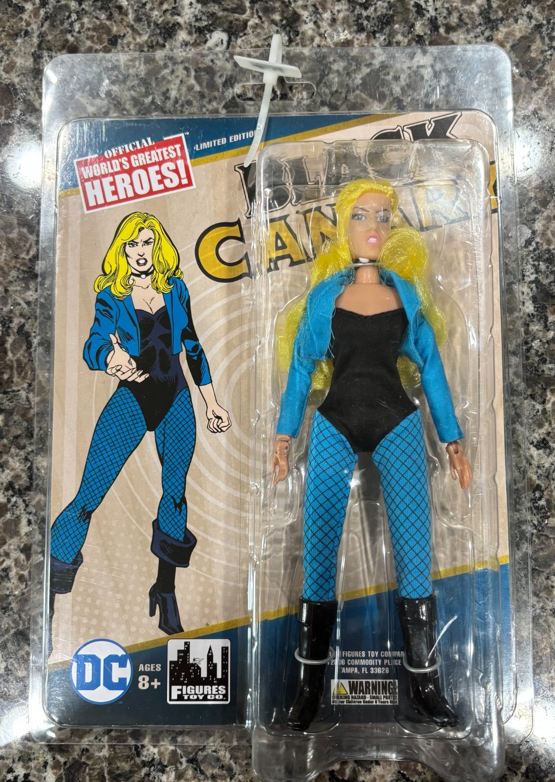 Figures Toy Company World&rsquo;s Greatest Heroes Black Canary 2019 RARE HTF NEW DC