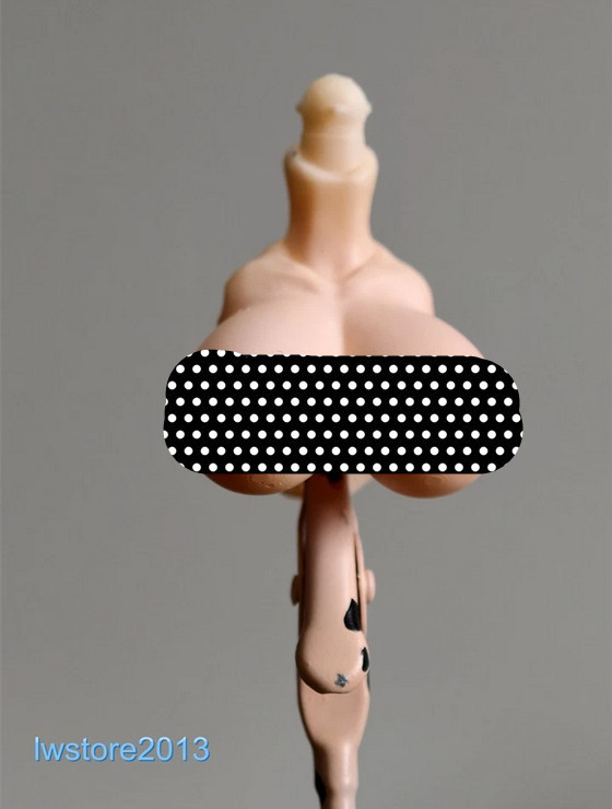 1/12 Large Size Breast Cover Bust Model For 6&Prime; Female Romankey Figure Body Toys