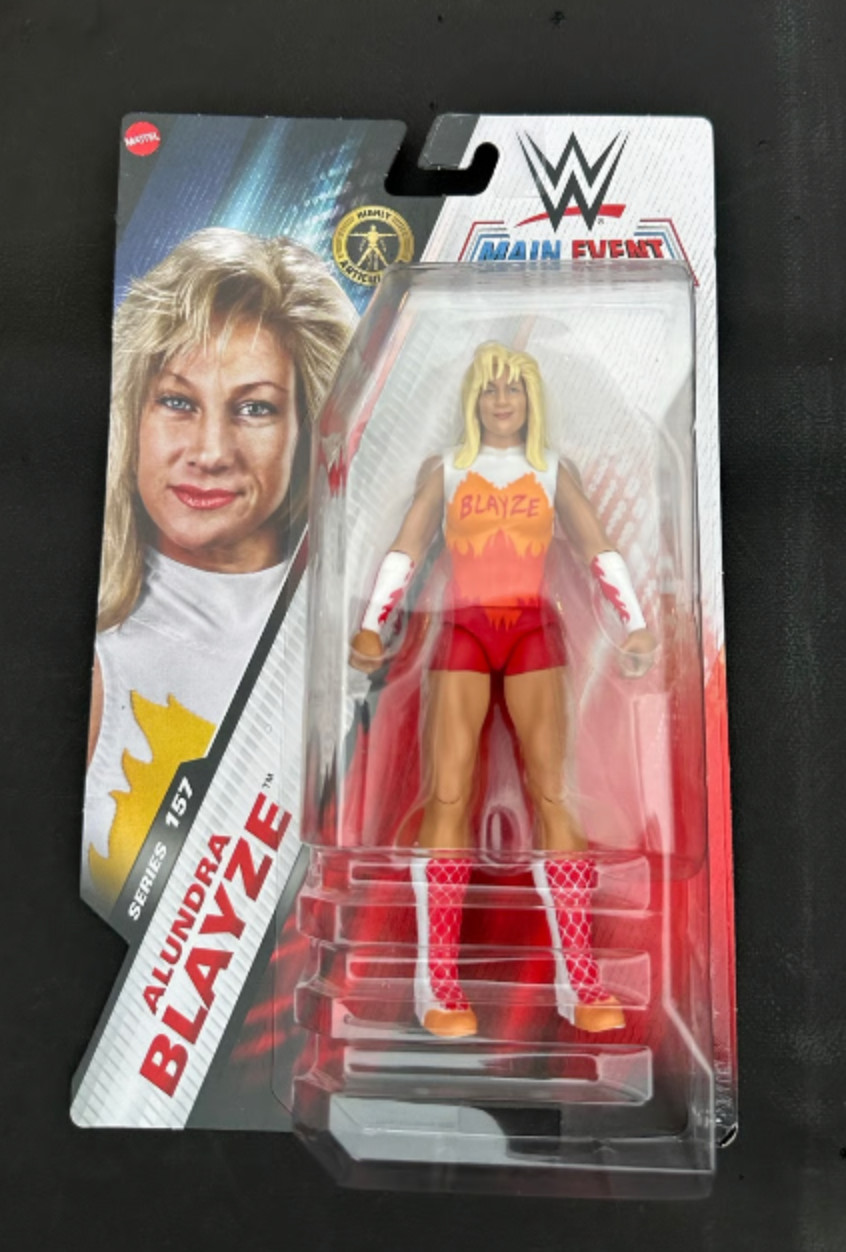 WWE Basic Action Figure New In Box