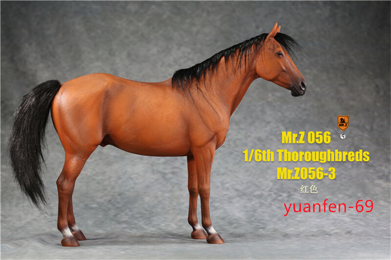 Mr.Z 1/6 Scale Animal Resin Toy Akhal-Teke Horse 35CM Figure Model Toys Collect