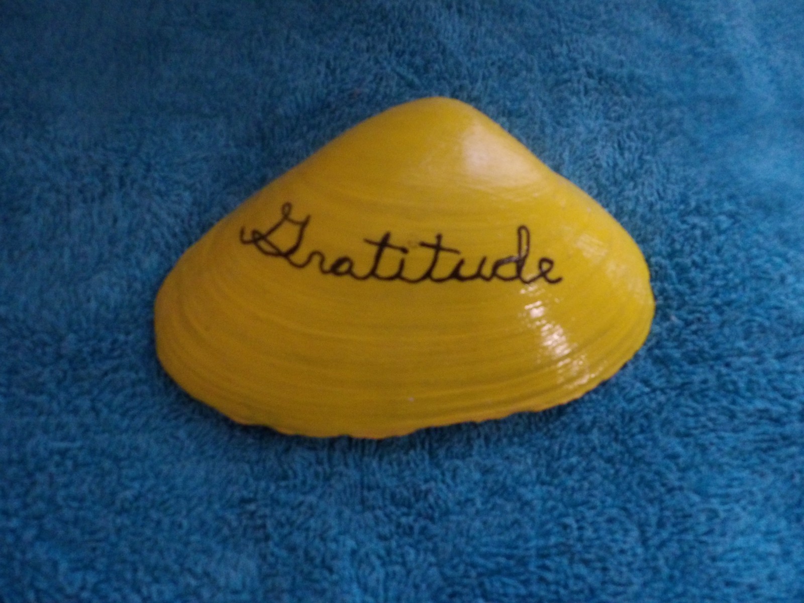 Magic By The Seashell, Enchanted & Powerful Seashells, You Choose Color & Intent