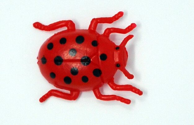 10-pc toy insects: beetles, ladybug, Cockroaches, insects identification toy