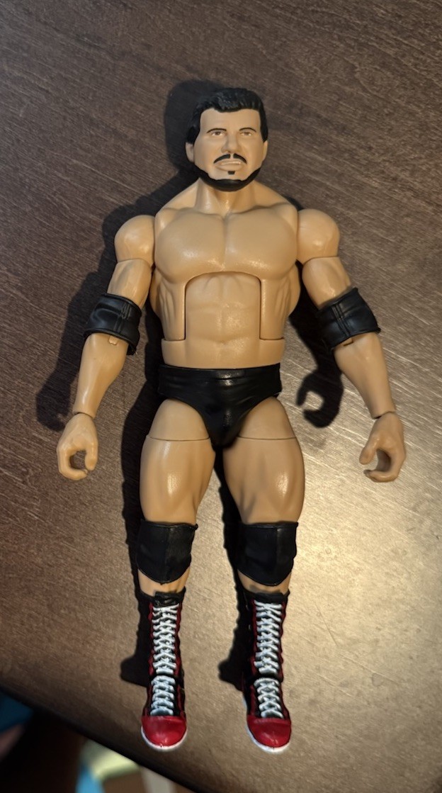 Wwe The Brooklyn Brawler Steve Lombardi Mattel Elite Wrestling Custom Figure Toy