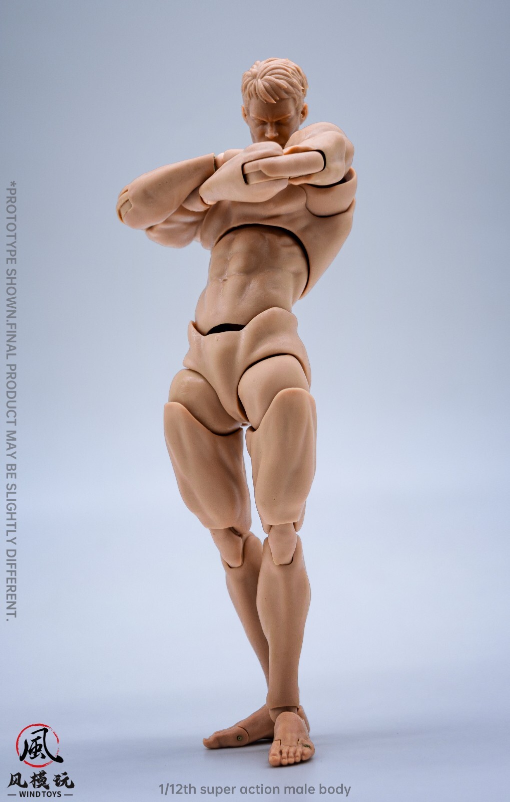 Wind Toys 1/1 Male Pale Flexible Joint Body 16cm Articulated 12&Prime; Action Figure