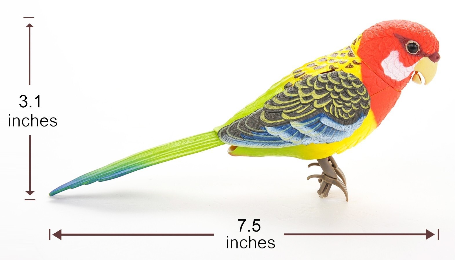 Realistic Chirping & Dancing Parrot Bird Gift Set
