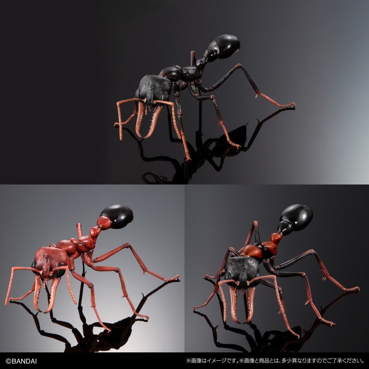 The Diversity of Life on Earth Advance Bulldog Ant Capsule & Online w/ Stand