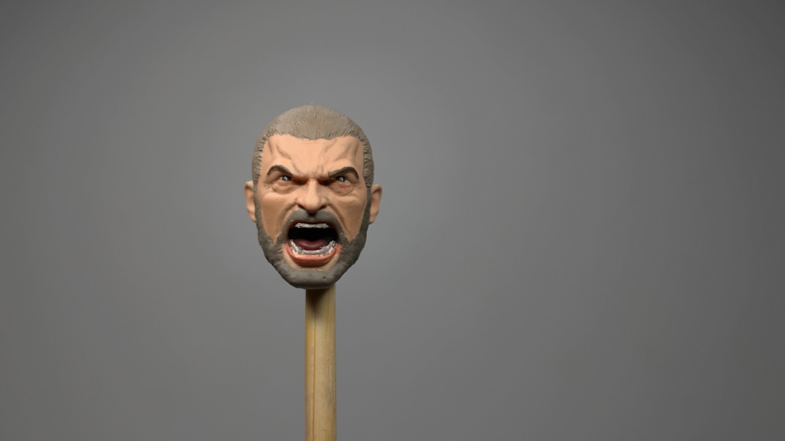 1:12 custom painted High Jackman, X-Men, Wolverine screaming head sculpt.