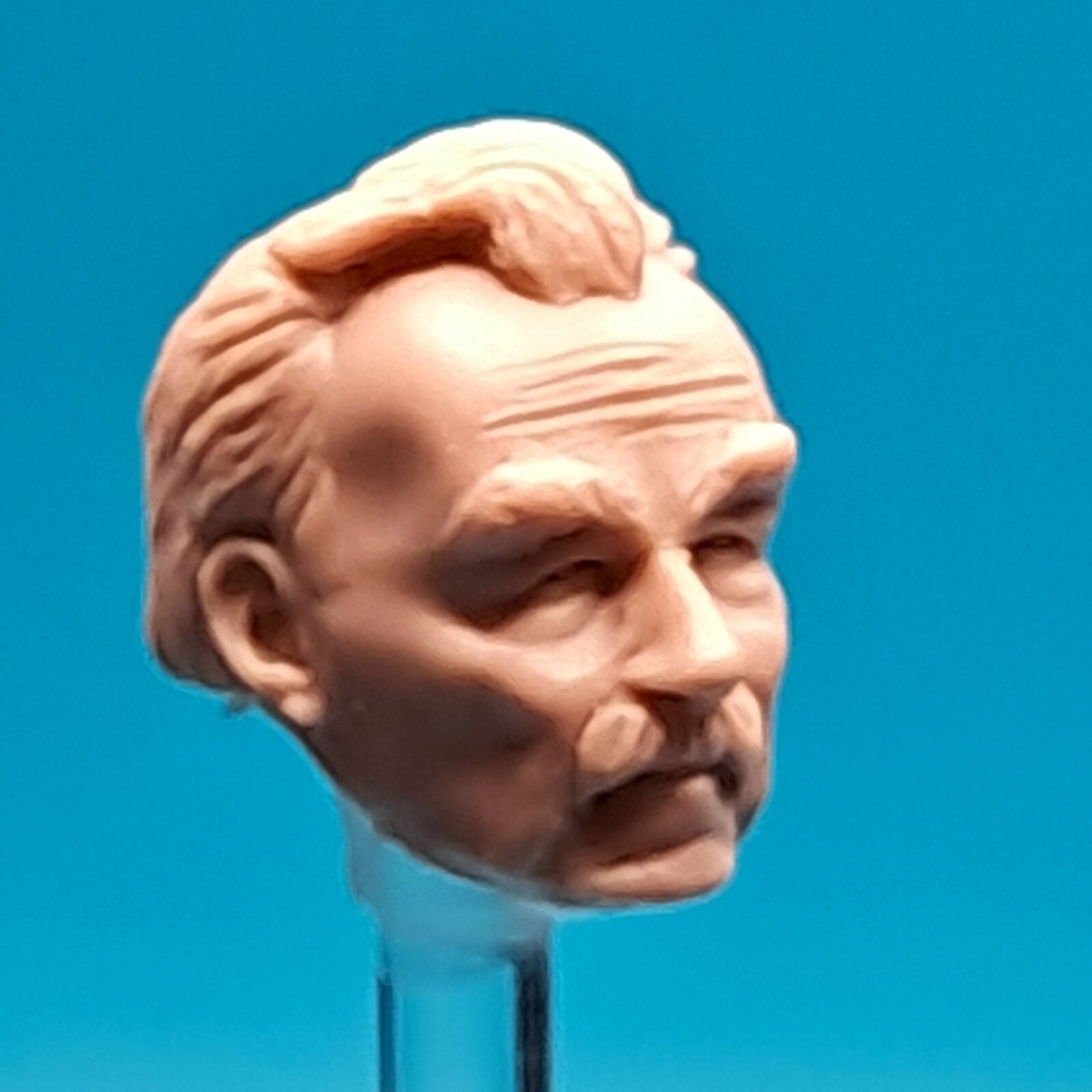 Star Wars Rycar Ryjerd Cantina Patron Custom Head Cast TVC 3-3/4&Prime; 1:18 Scale