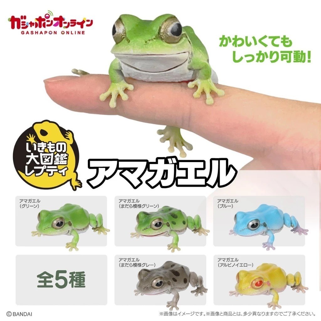 Bandai Japan Living Creatures Encyclopedia Repti Tree Frog Complete Frog Gacha
