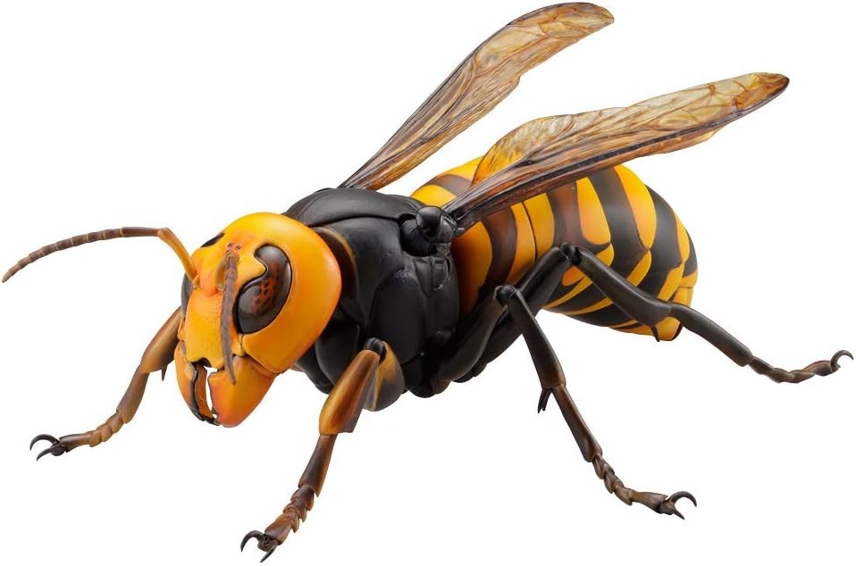 Kaiyodo RevoDio Asian Giant Hornet L180mm PVC ABS Action Figure RG004S Japan