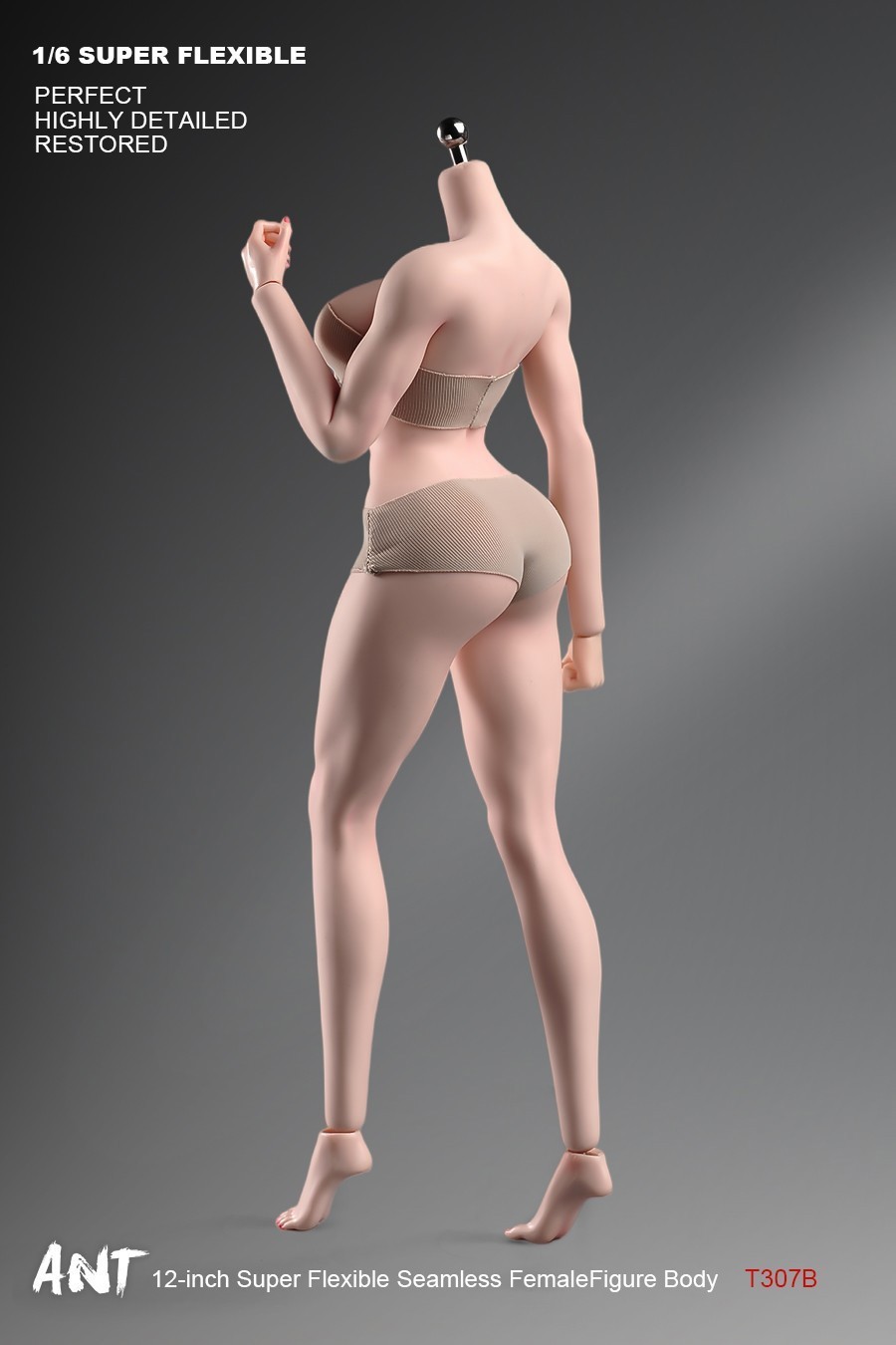 New ANT T307 1/6 Female Normal Sexy Large Bust Muscle Plump Body For 12 »Figure