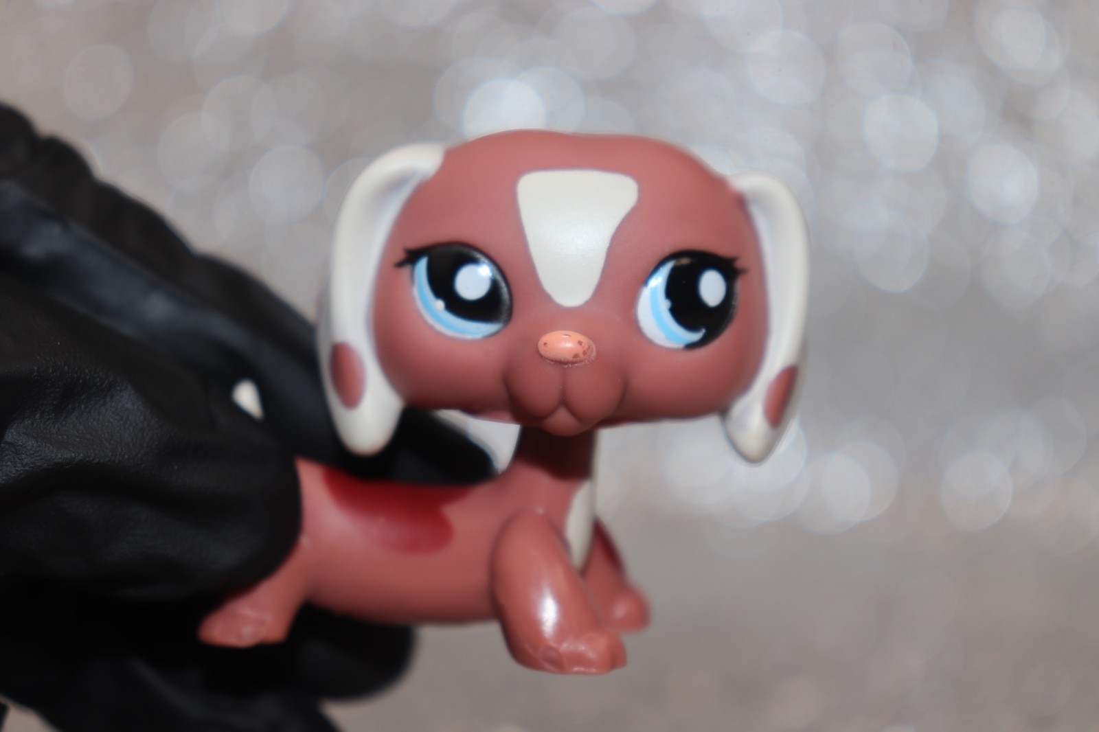 Littlest Pet Shop AUTH LPS #1631 Red/Brown Dachshund Blue Eyes EURO EXCLUSIVE