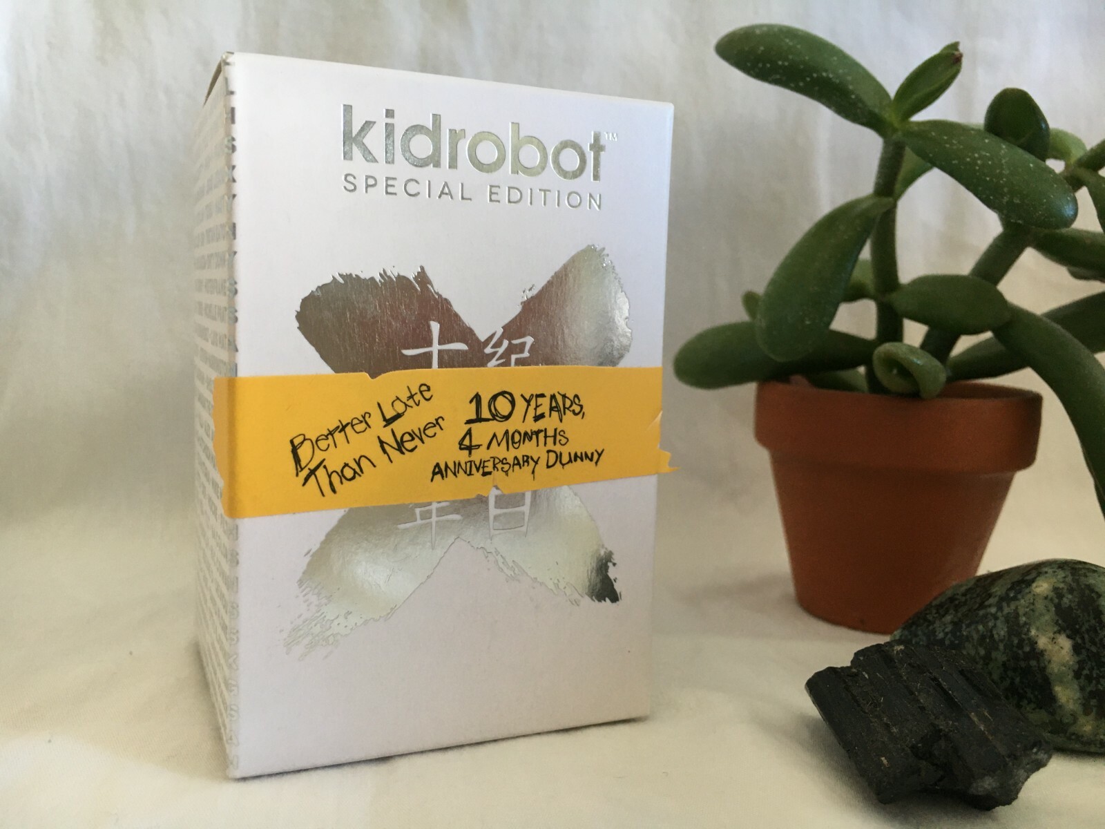 Kidrobot Special Edition 10th Anniversary DUNNY 3&Prime; 10 Years 4 Months SILVER NEW 