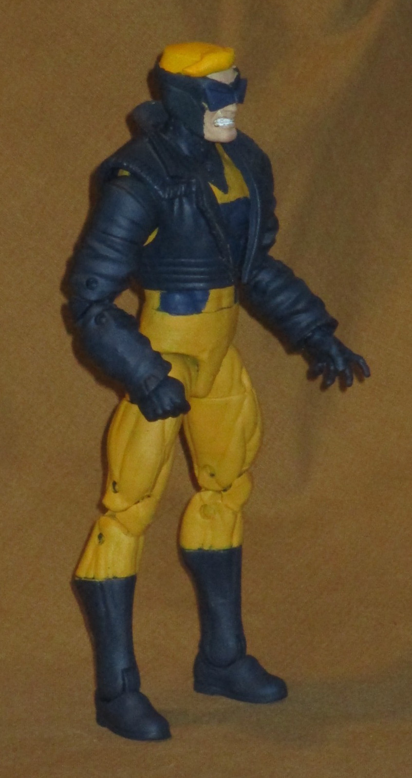 Custom Marvel Legends/DC Multiverse ANIMAL MAN 1/12 scale