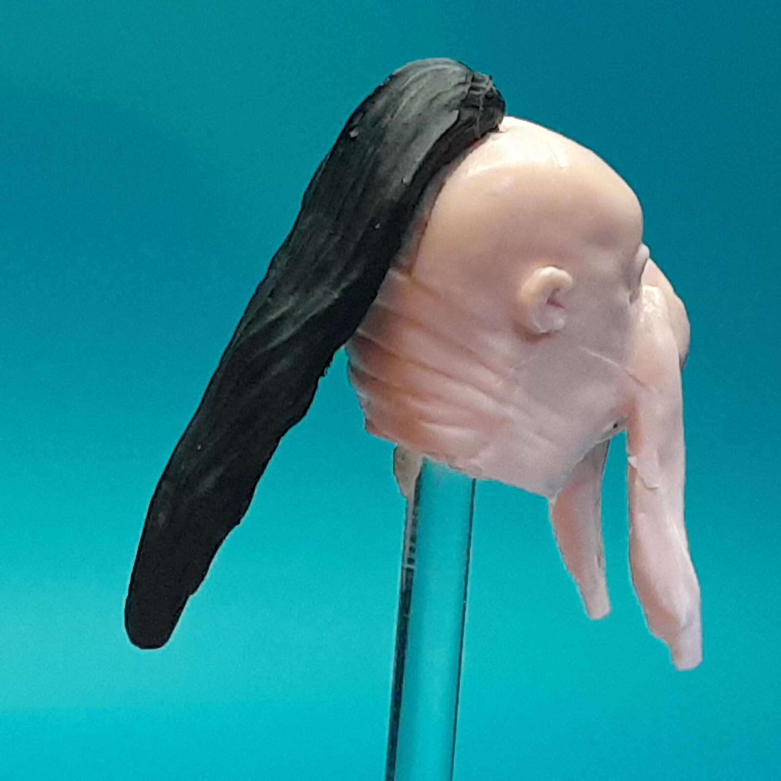 Star Wars Mosep Bindeed Cantina Alien Custom Head Cast TVC 3-3/4&Prime; 1:18 Scale