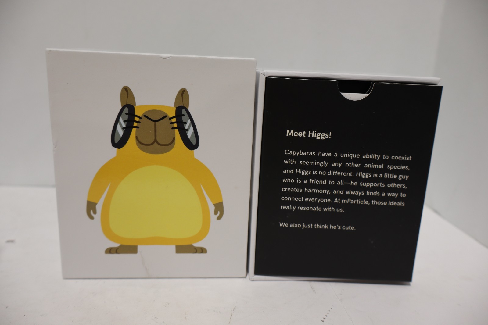 mparticle Higgs Standard Edition 3.5 Inch Capybara Figure 2022